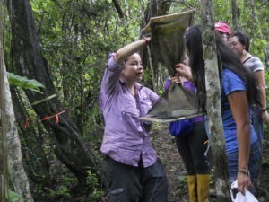 Trabajo de campo